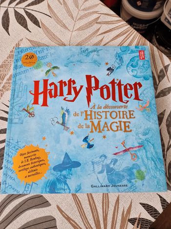 Livre harry potter a la découverte de l'histoire de la magie