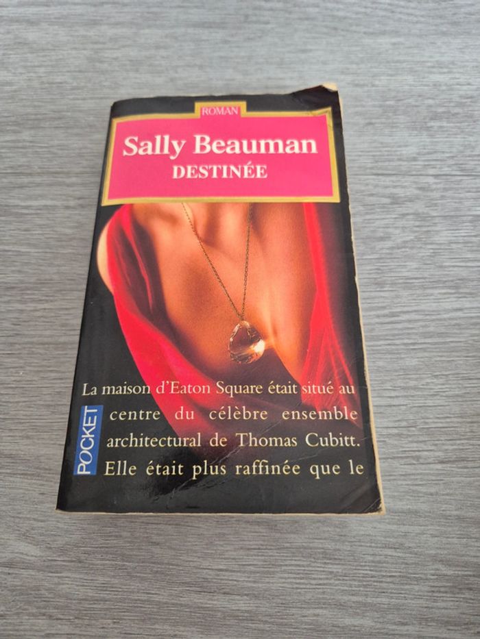 Destinée Sally Beauman