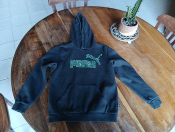 Sweat a capuche puma