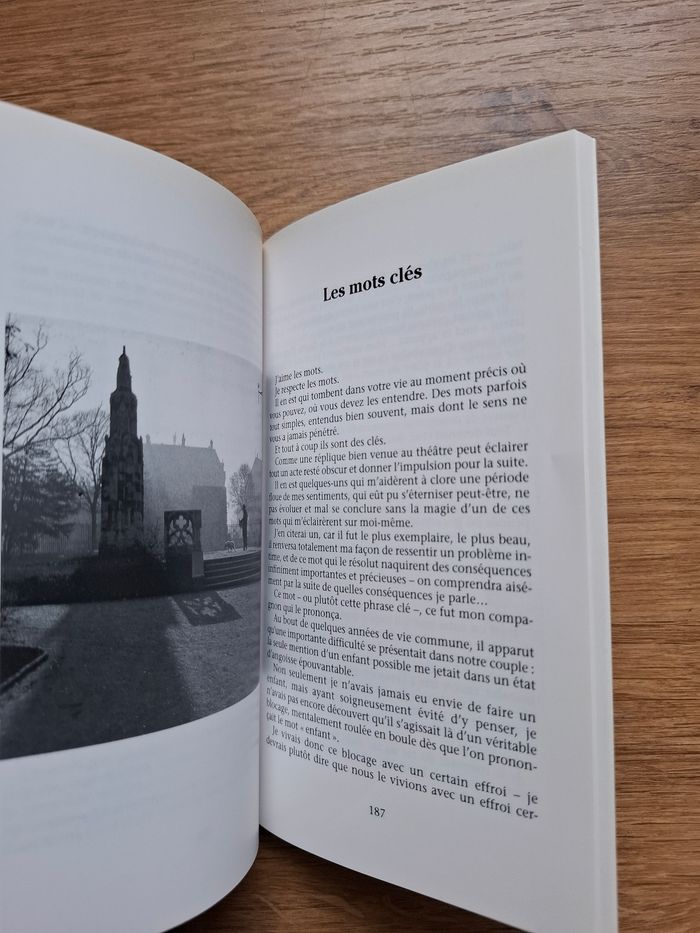 Récit Le voile noir de Anny Duperey en très bon état - photo numéro 4