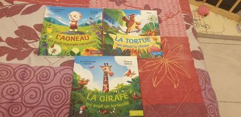 Lots de livres
