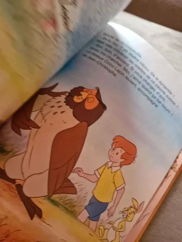 📖 Livre enfant • Disney - photo numéro 5