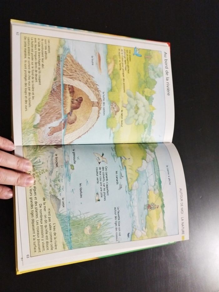 Méga poussin encyclopédie - photo numéro 4
