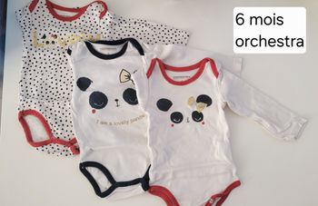 Lot de 11 bodys manches longues