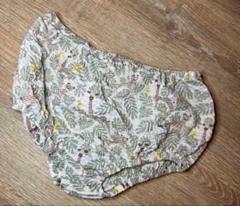 Bloomer  jungle Obaïbi 