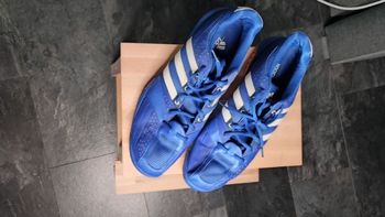 Paire de baskets grande pointure