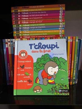 Livre T’choupi dans la forêt