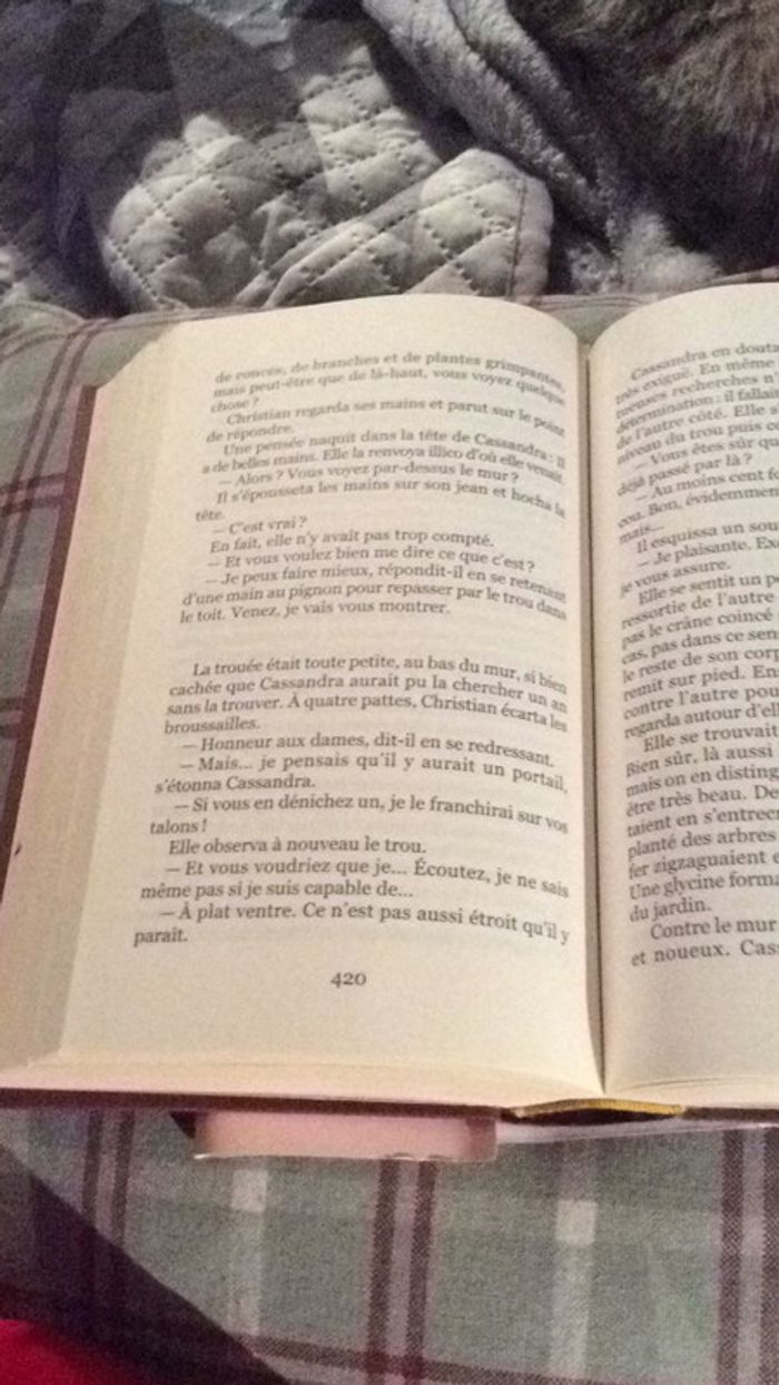 # le jardin des secrets par Kate Morton - photo numéro 11