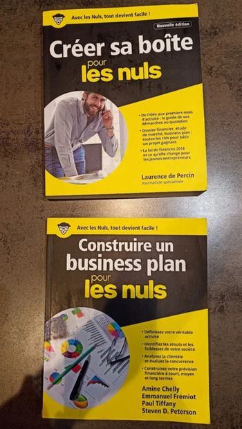 lot 2 livres format broché Créer sa boite et construire un business plan pour les nuls Très bon état