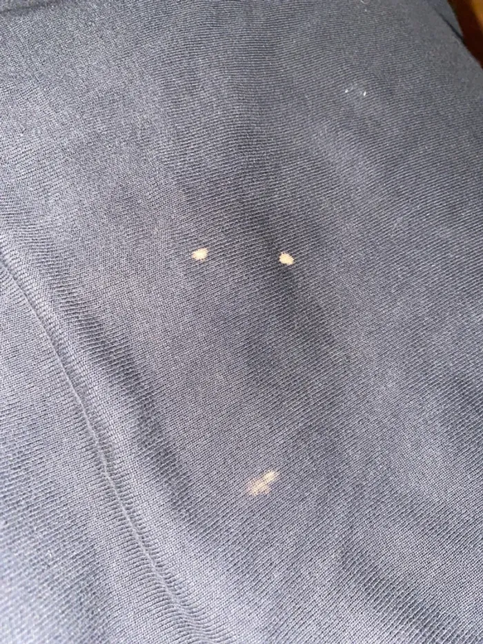 G star - photo numéro 5