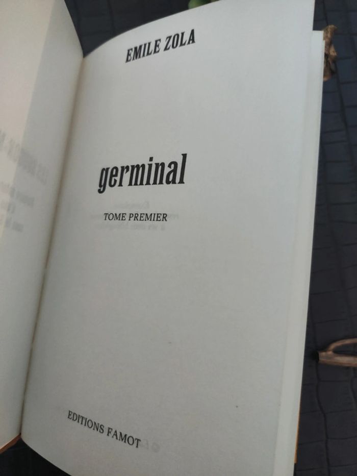 Emilie Zola - Lot de 38 livres / Éditions Famot 1979 - photo numéro 3