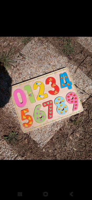 Puzzle en bois encastrables