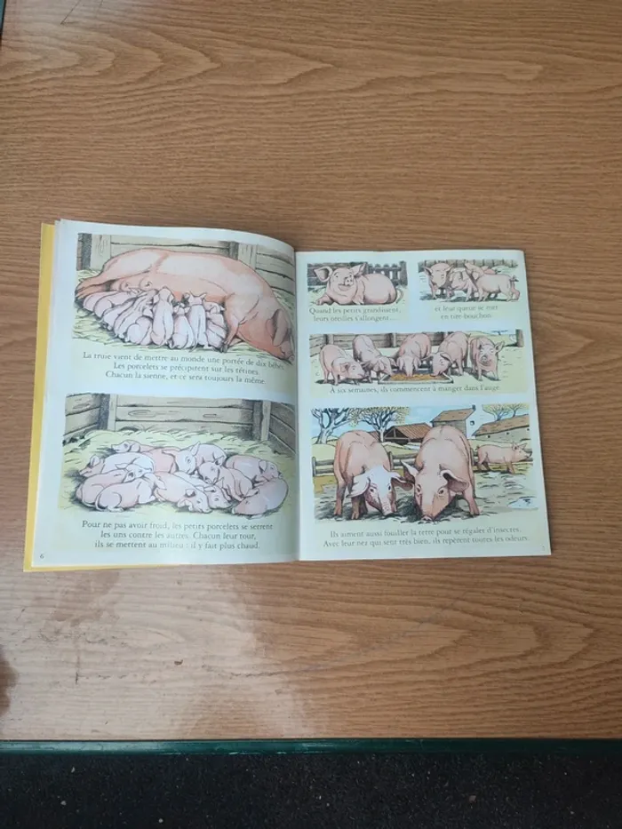 Livre youpi le 14 juillet raconté aux enfants - photo numéro 9