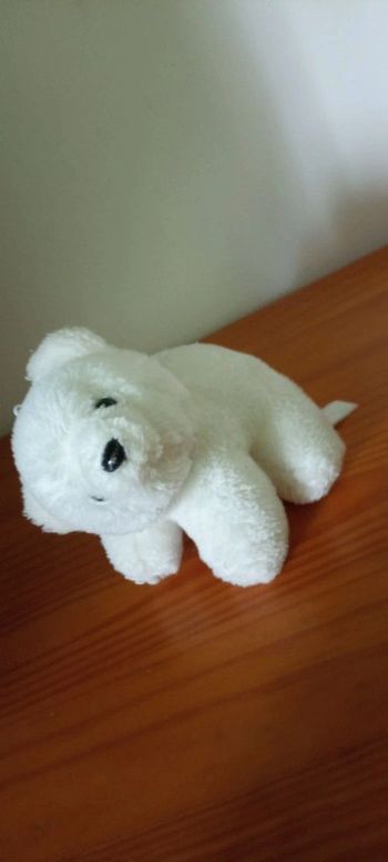 Peluche Ours blanc