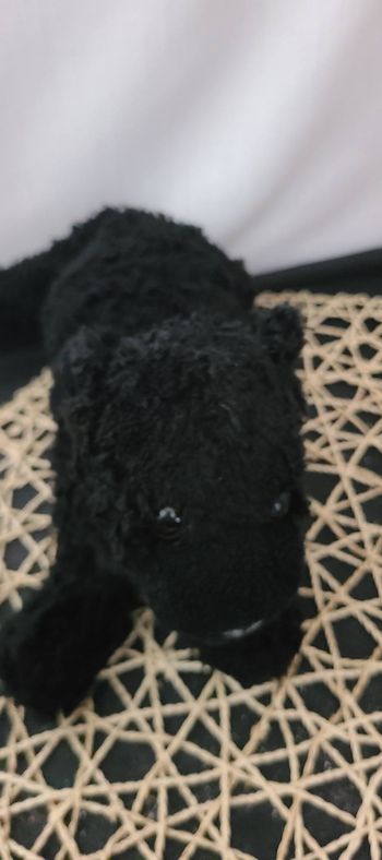 doudou panthère , chien noir dani