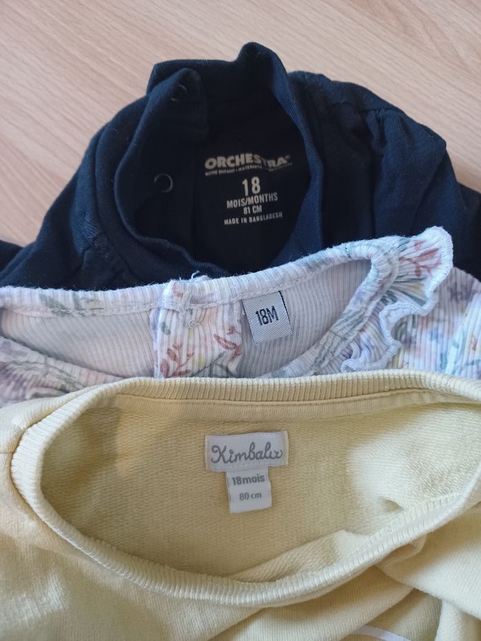 Lot 2 t-shirts manches longues 1 pull - photo numéro 2