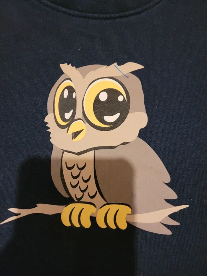 Sweat-shirt taille 7 ans - photo numéro 3