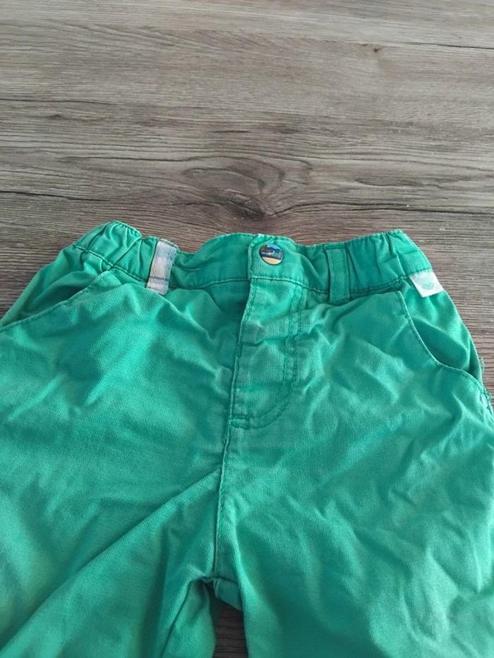 Bermuda sergent major - photo numéro 3