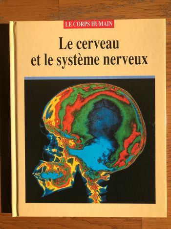 Le cerveau et le système nerveux - Collection « Le corps humain »