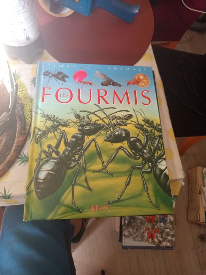 Bd la grande imagerie les fourmis