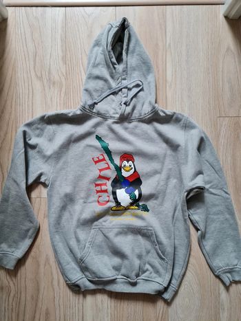 Sweat polo capuche chile chili pingouin