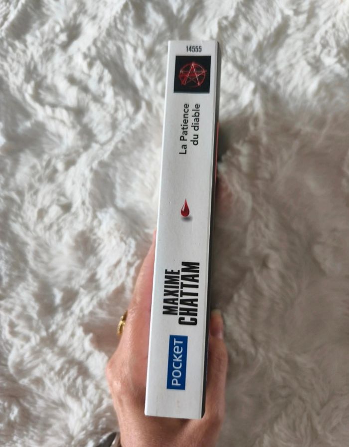 La patience du diable Maxime Chattam - photo numéro 2