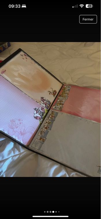 Porte-vue 73 feuilles Diddl 🐭🖤