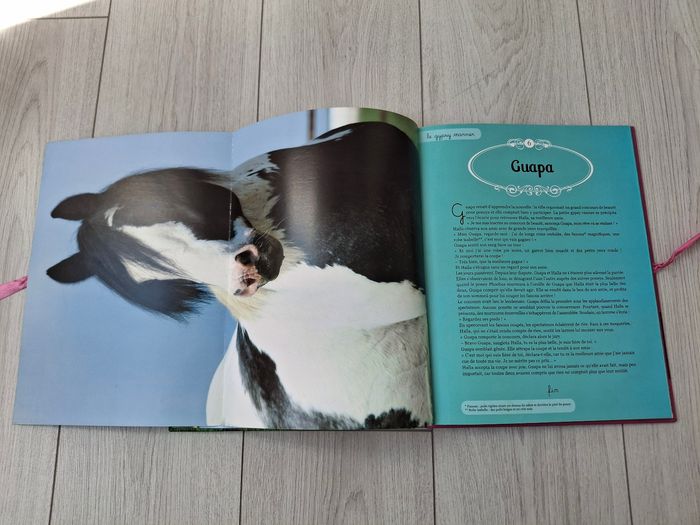Livre Mes plus belles histoires de poney 🐴 - photo numéro 5