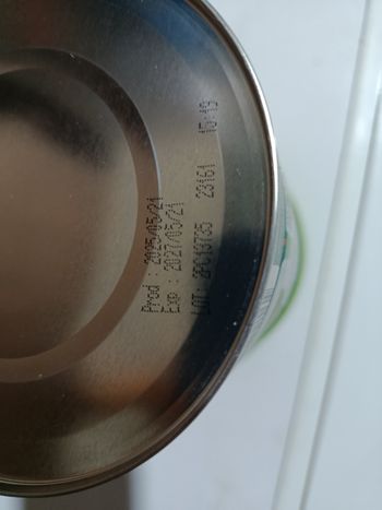 Lait infantile 1er age bio