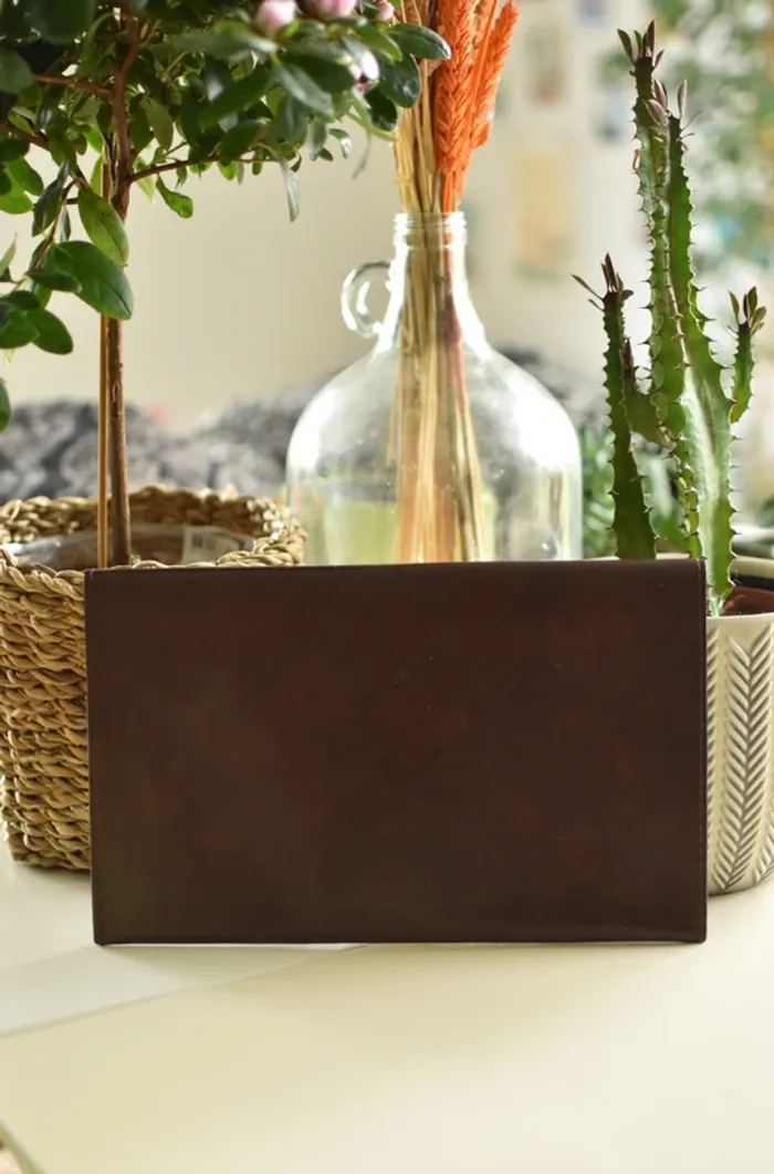 Pochette vintage - photo numéro 4
