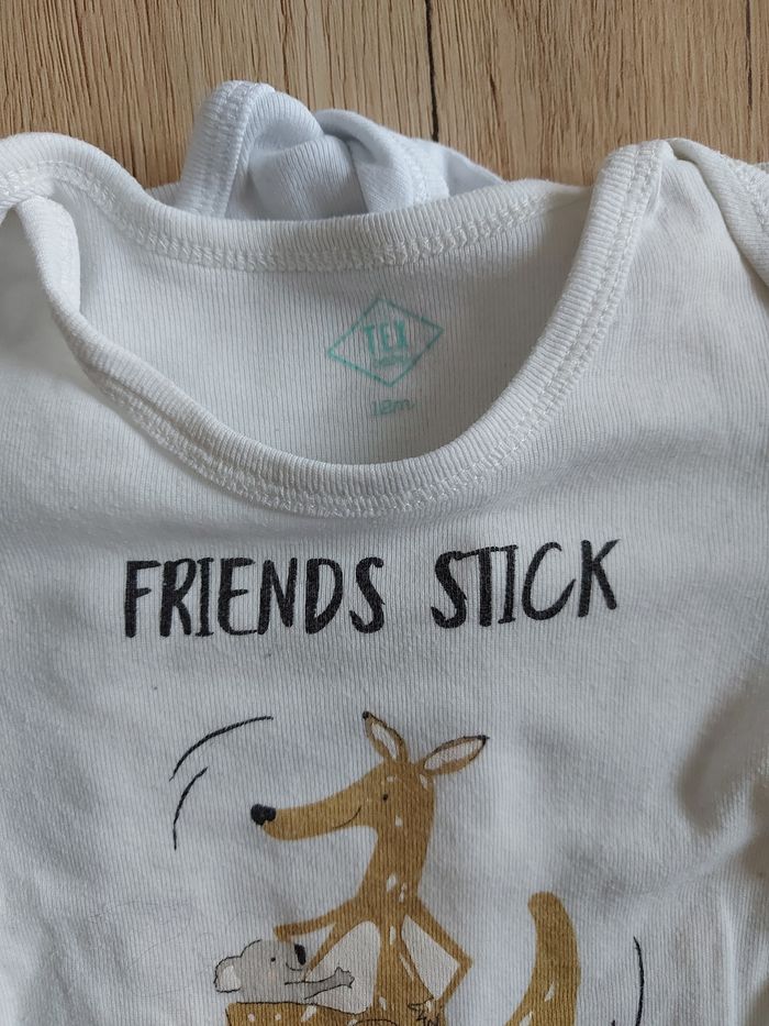 Lot de bodies - photo numéro 2