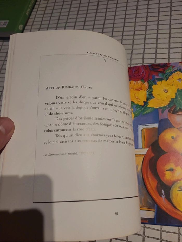 Fleurs et fruits d'écrivains - photo numéro 7