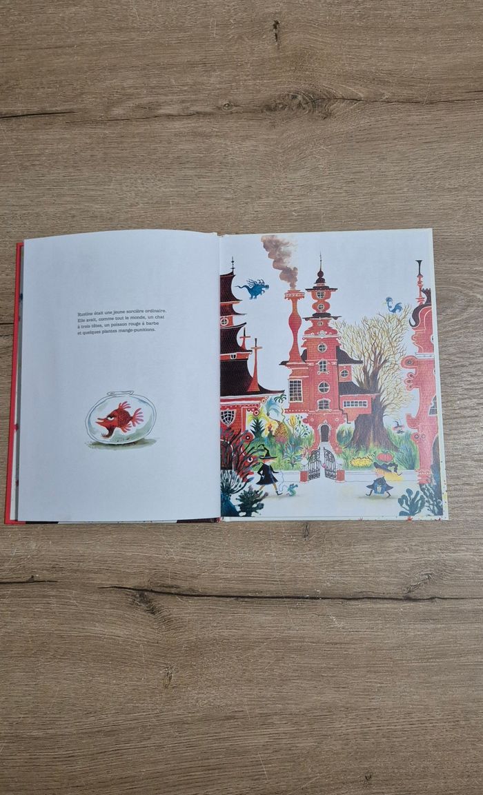 Livre Rustine sorcière ordinaire - photo numéro 2