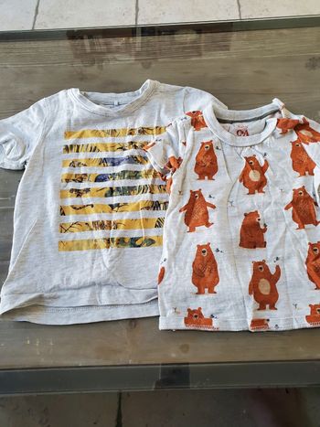 Lot 2 t-shirts manches courtes