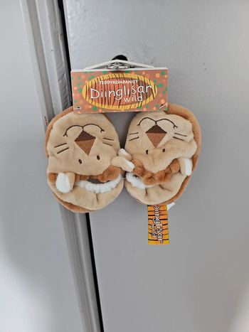 Chausson naissance