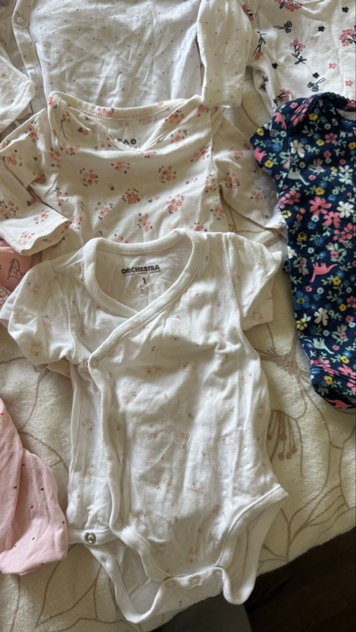 Lot de body pour fille 1 mois (bodies) - photo numéro 6
