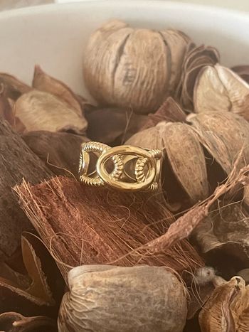Bague acier inoxydable