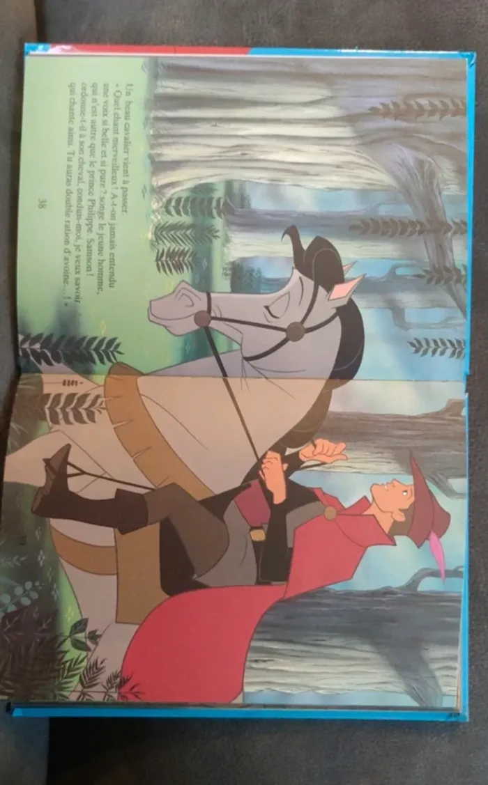 Livre les classiques de Disney La belle au bois dormant - photo numéro 7