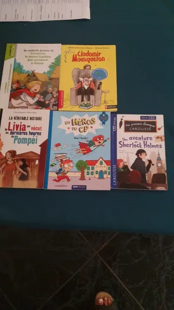 Lot de livres ce2 cm1