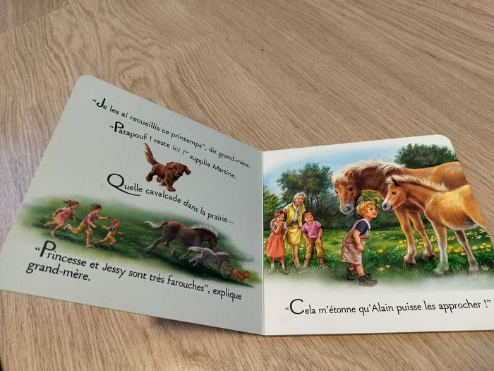 Livre Martine un amour de poney - photo numéro 2