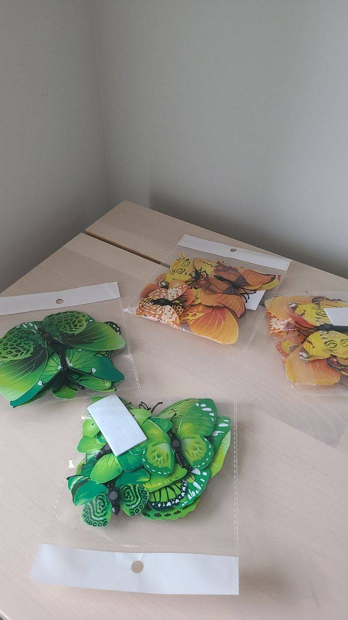 Activités - photo numéro 8