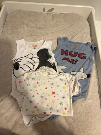 Lot 3 bodies Mickey