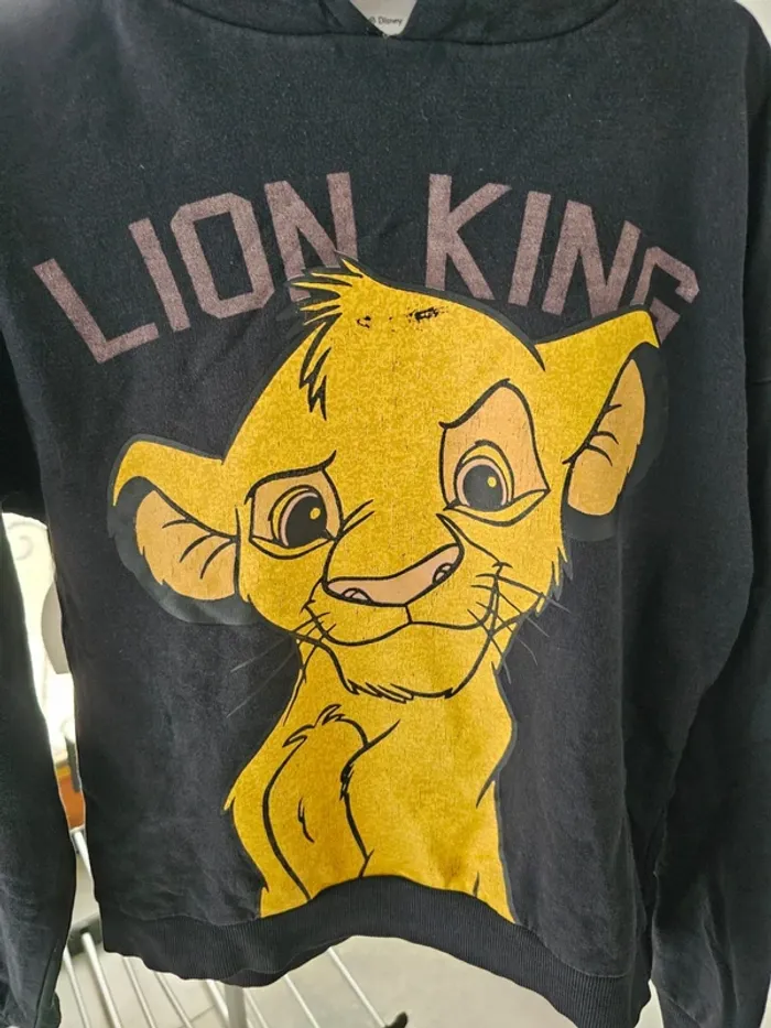 Pull Sweat a capuche roi lion +1 gratuit - photo numéro 6