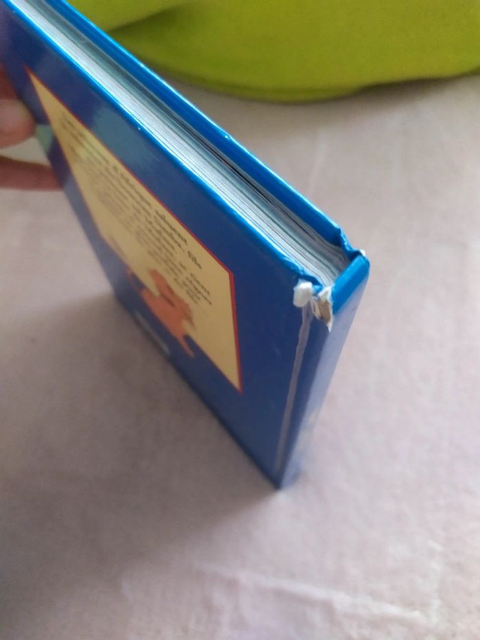 Livre Roi Lion - photo numéro 3