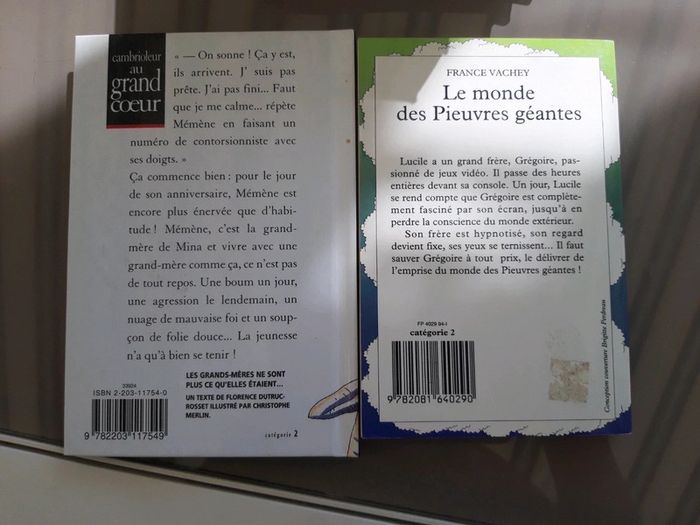 Cambrioleur au grand coeur et le monde des pieuvres geantes - photo numéro 2