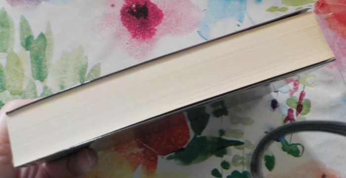 La petite fille en haut de l'escalier de Judith Kelman Ed. France Loisirs - photo numéro 5