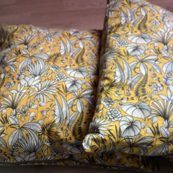 Deux coussins