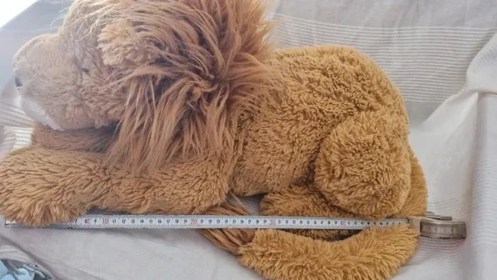 Lion jellycat - photo numéro 12