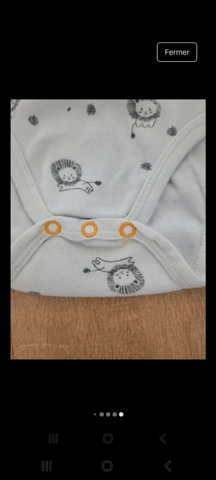 Bodys - photo numéro 9