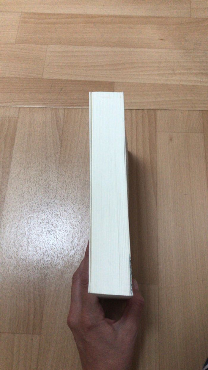 Un appartement à Paris - photo numéro 3